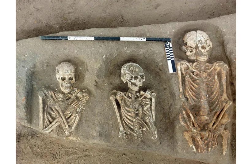 Human remains unearthed at Greco-Roman cemetary in northern Egypt