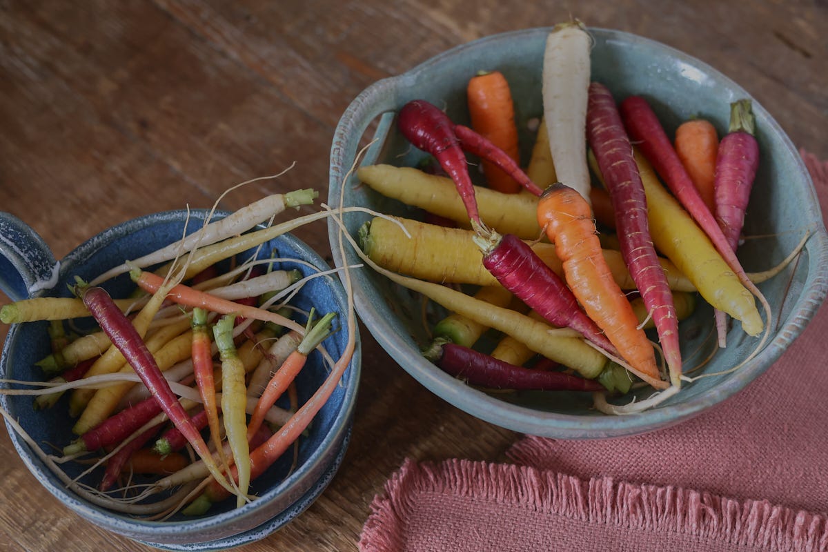 various harvested carrots in colanders with a napkin in the foreground