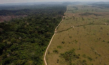 Amazon deforestation