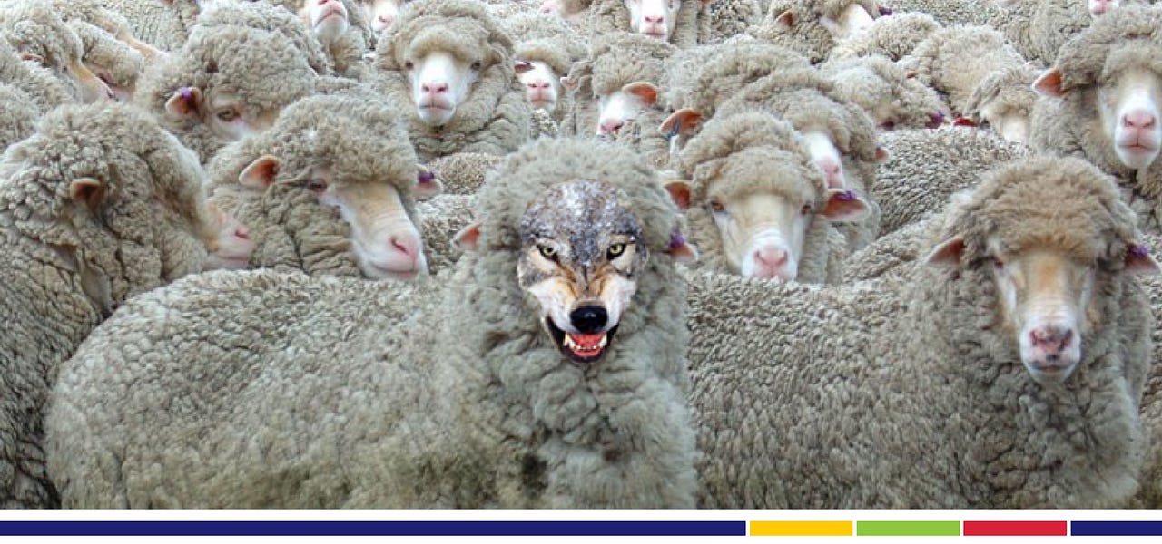 Do WE Invite Wolves into our Churches? - Tov Rose