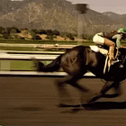 🏇Racing delivers $81.5M into Central QLD