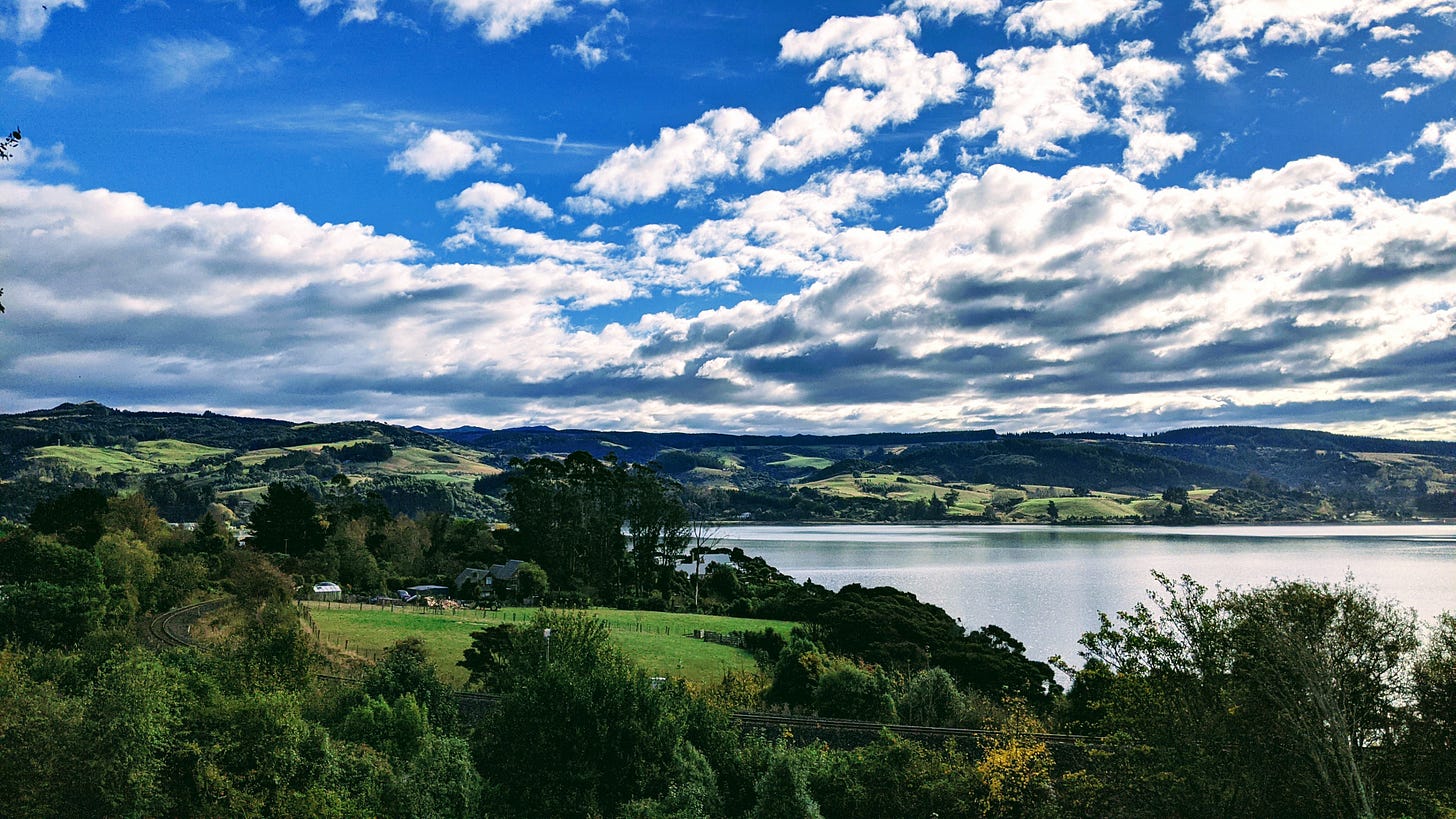Landscape photo of Blueskin Bay -- blue sky, green fields, flat water.