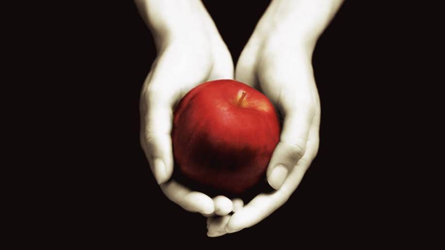 Twilight': A Positive or Negative Influence for Teens? - Christ and Pop  Culture