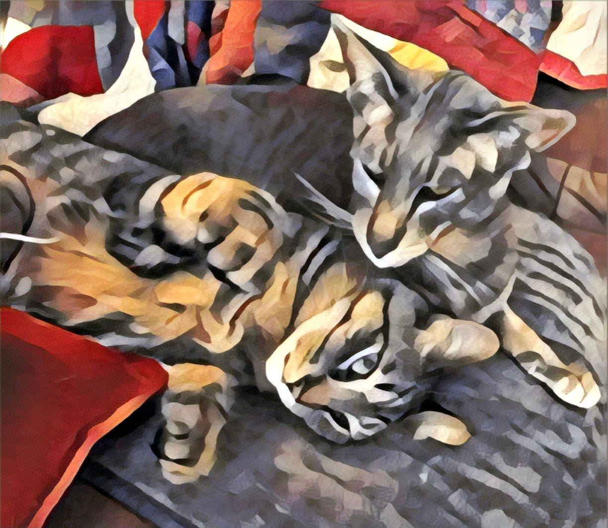 2Cats2Furious’s Substack