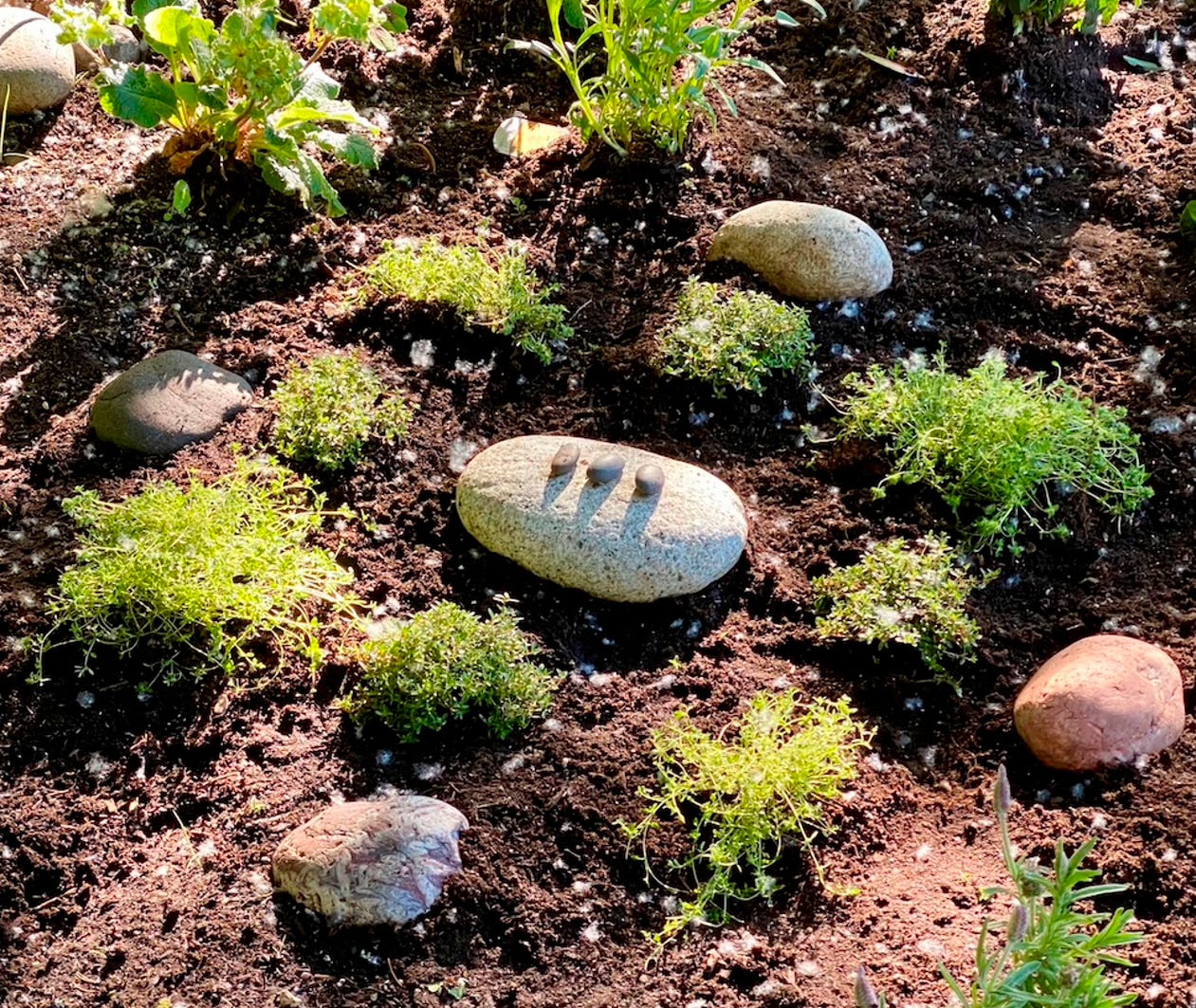 Garden stones. Photo by JPC Garden stones. Photo by JPC