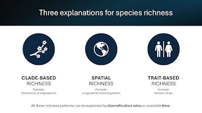 A graphic titled, "Three explanations for species richness" with three icons. An icon of a flower is above "Clade-based richness (e.g., dominance of angiosperms)". A globe icon is above "Spatial richness (e.g., longitudinal diversity gradient)." Male and female icons are above "Trait-based richness (e.g., paradox of sex)". A line at the bottom reads, "All three richness patterns can be explained by diversification rates or available time."
