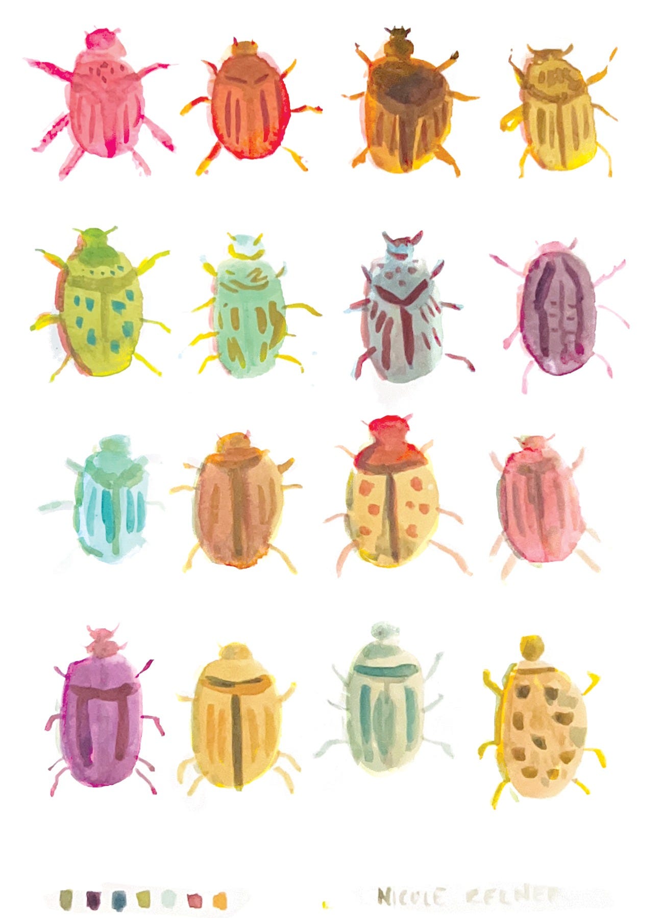 illustrated beetles by nicole kelner