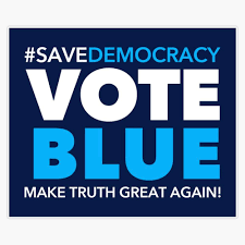 Amazon.com: TCT Trading Vote Blue Make ...
