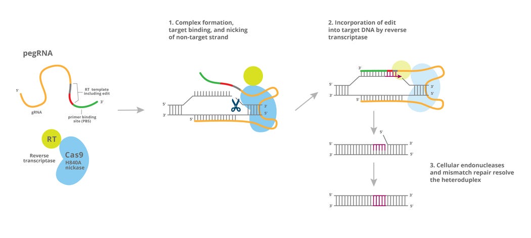 Addgene: CRISPR Plasmids - Prime Edit