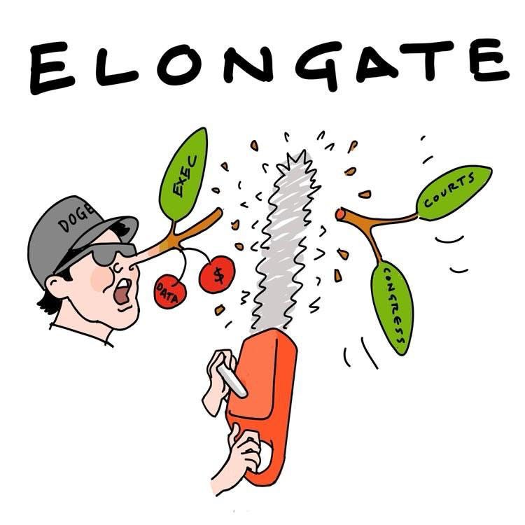 Jennifer Tobias- Elongate