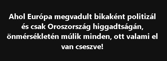 Ahol Európa megvadult bikaként politizál és csak Oroszország higgadtságán, önmérsékletén múlik minden, ott valami nagyon el van cseszve!