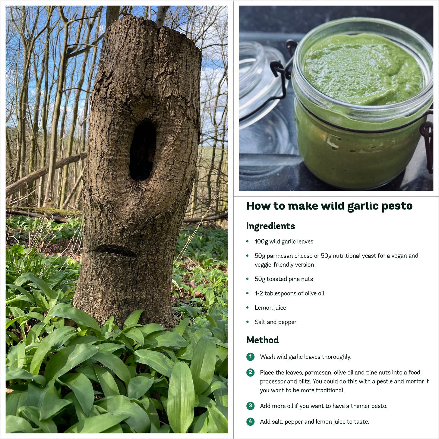 How to make wild garlic pesto recipe