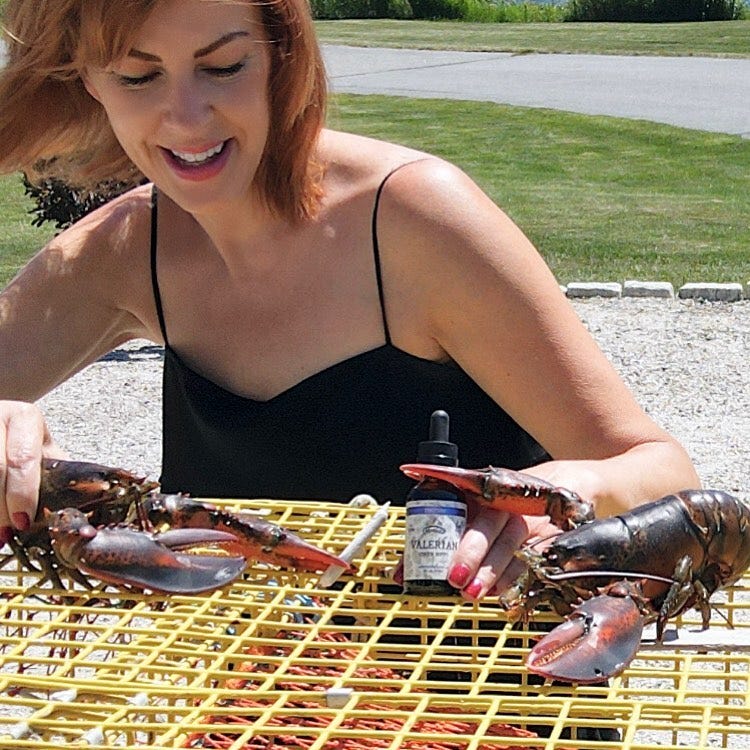 https://www.mdislander.com/maine-news/waterfront/charlottes-baked-lobsters-light%E2%80%AFscientific-flame%E2%80%AF