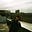 Tilly Foulkes's avatar