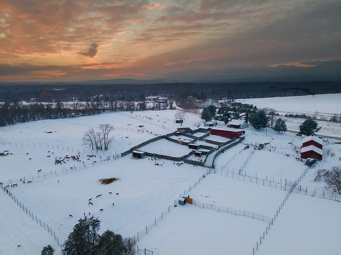 Website Photo farm.png