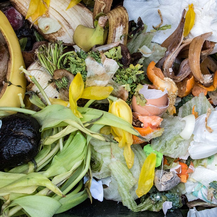 Diptych - - Two piles of compost