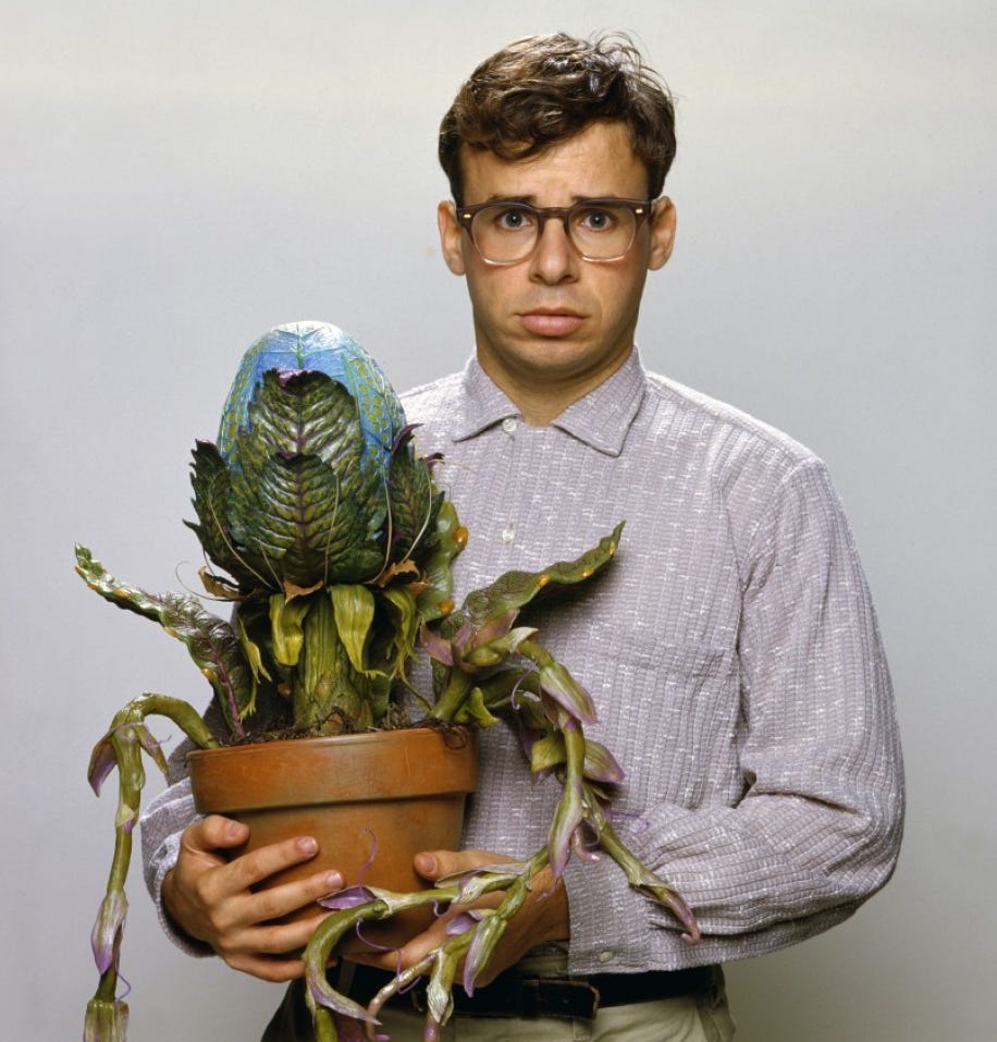 Seymour Krelborn | Little Shop of Horrors Wiki | Fandom