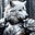 SnowWolf's avatar