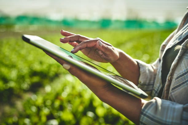 Shot of an unrecognisable woman using a digital tablet while working on a farm Tapped into the latest farming techniques agriculture technology stock pictures, royalty-free photos & images