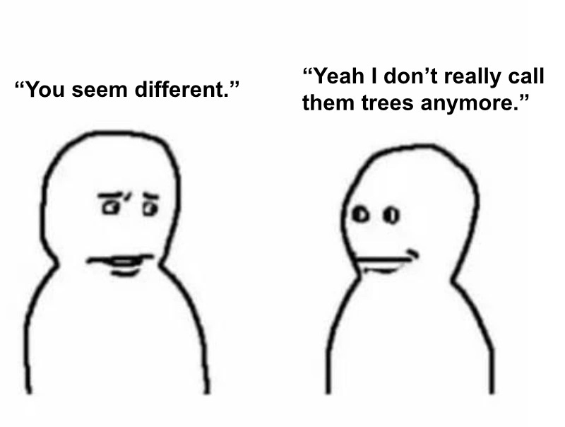 Two-panel stick-figure meme. A figure with a skeptical face says "You seem different." A second figure with a blank smile answers "Yeah I don't really call them trees anymore."