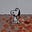 Mars's avatar