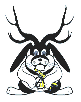 Jackalope Freedom Festival 