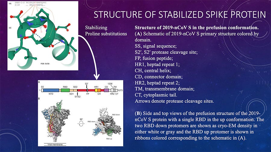 Structured of Stabilized Spike Protein Graph