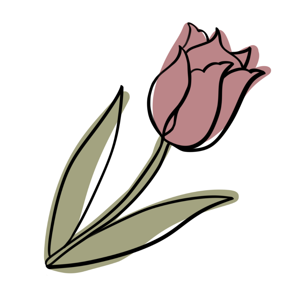 Diaries from a Petal