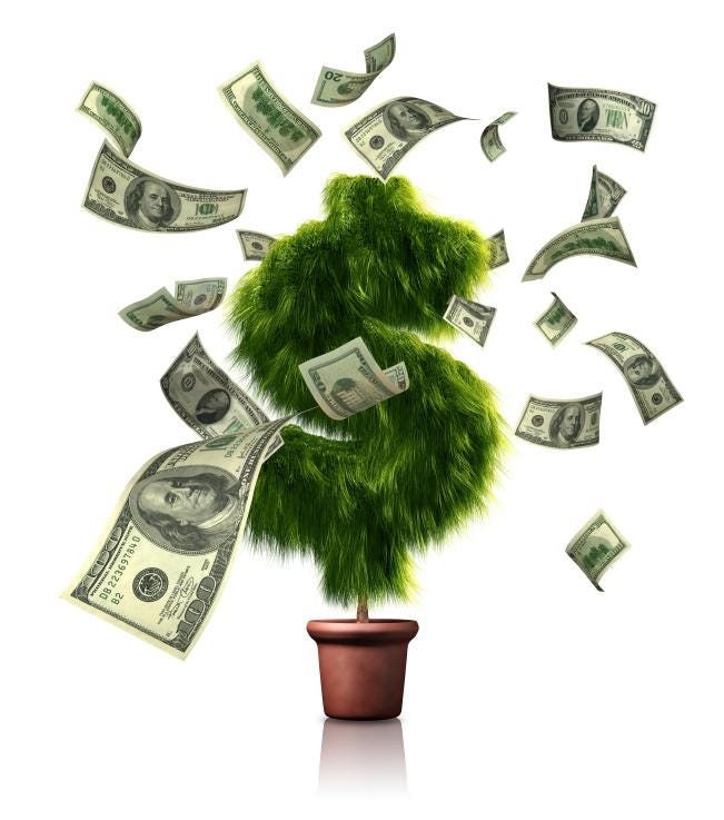 Growing A Moneytree: Do Money Trees Exist?