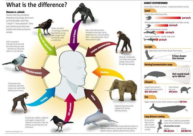 r/pics - Animals Vs. Humans [infographic]