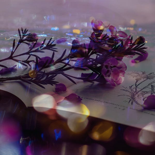 Fae Belle's Thought Space