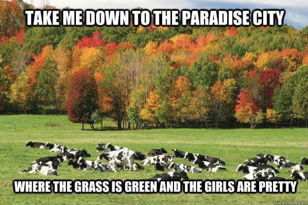 Нет описания фото. Нет описания фото.