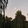 lunacap