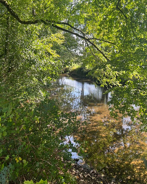 Three photographs side by side: a calm river running under leafy trees, a forest floor carpeted in blue bluebells with a distant figure walking a path through it, and a small stone chapel with an arched wooden door tucked among the trees.