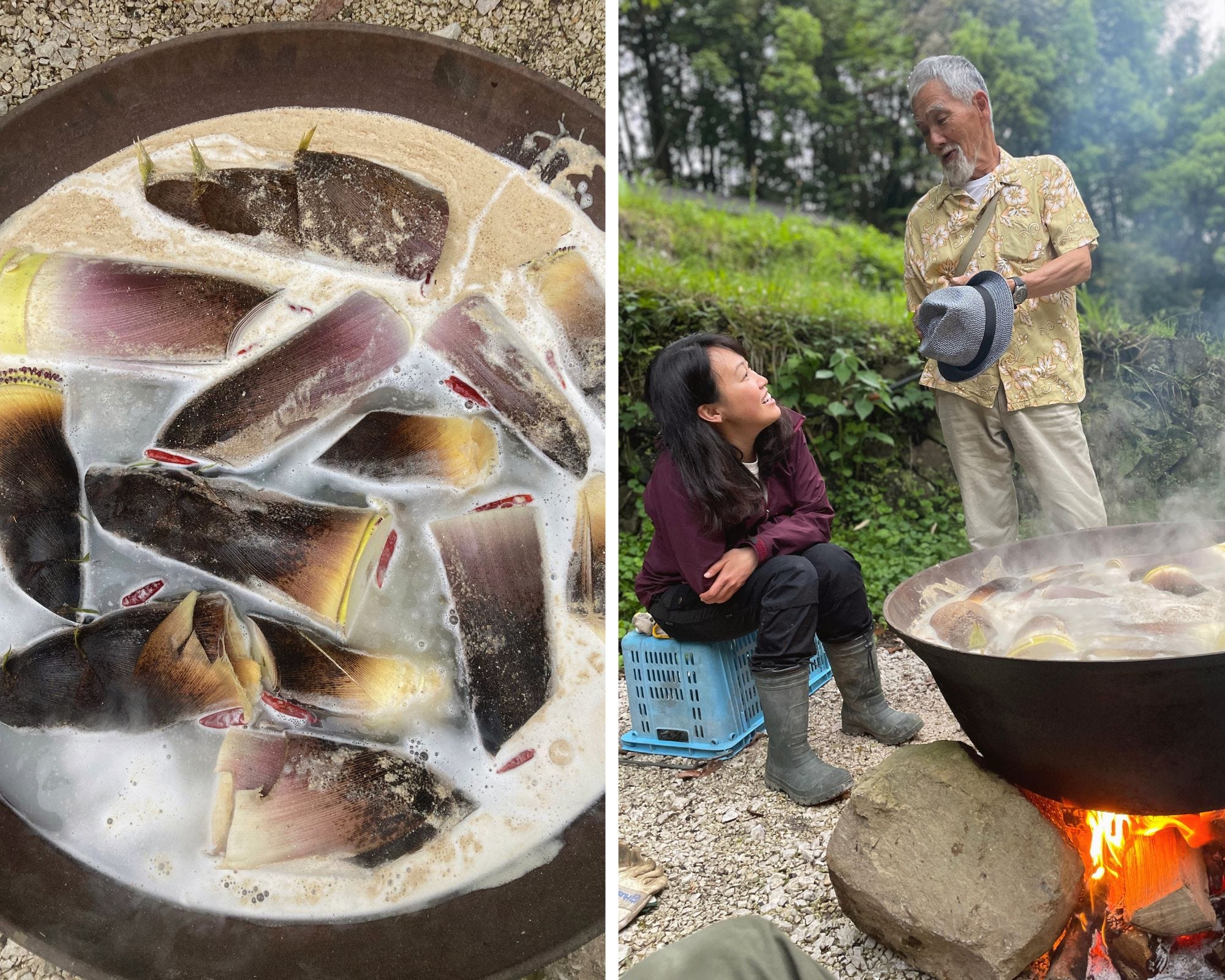 Spring Harvest of Bamboo Shoots - by Kana Chan