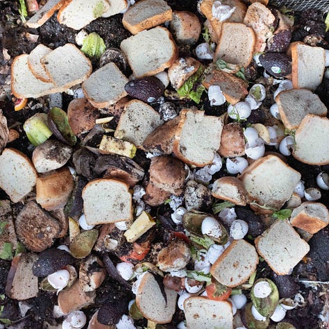 Three square photographs of bread in a compost pile.