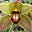 Carol Stoddard's avatar