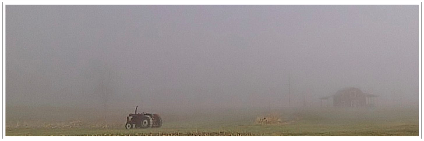 morning fog over field at the Apple Barn, Valle Crucis Retreat Center
