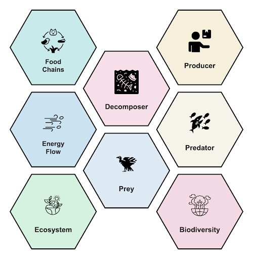 The Visual Classroom - Vol 1.