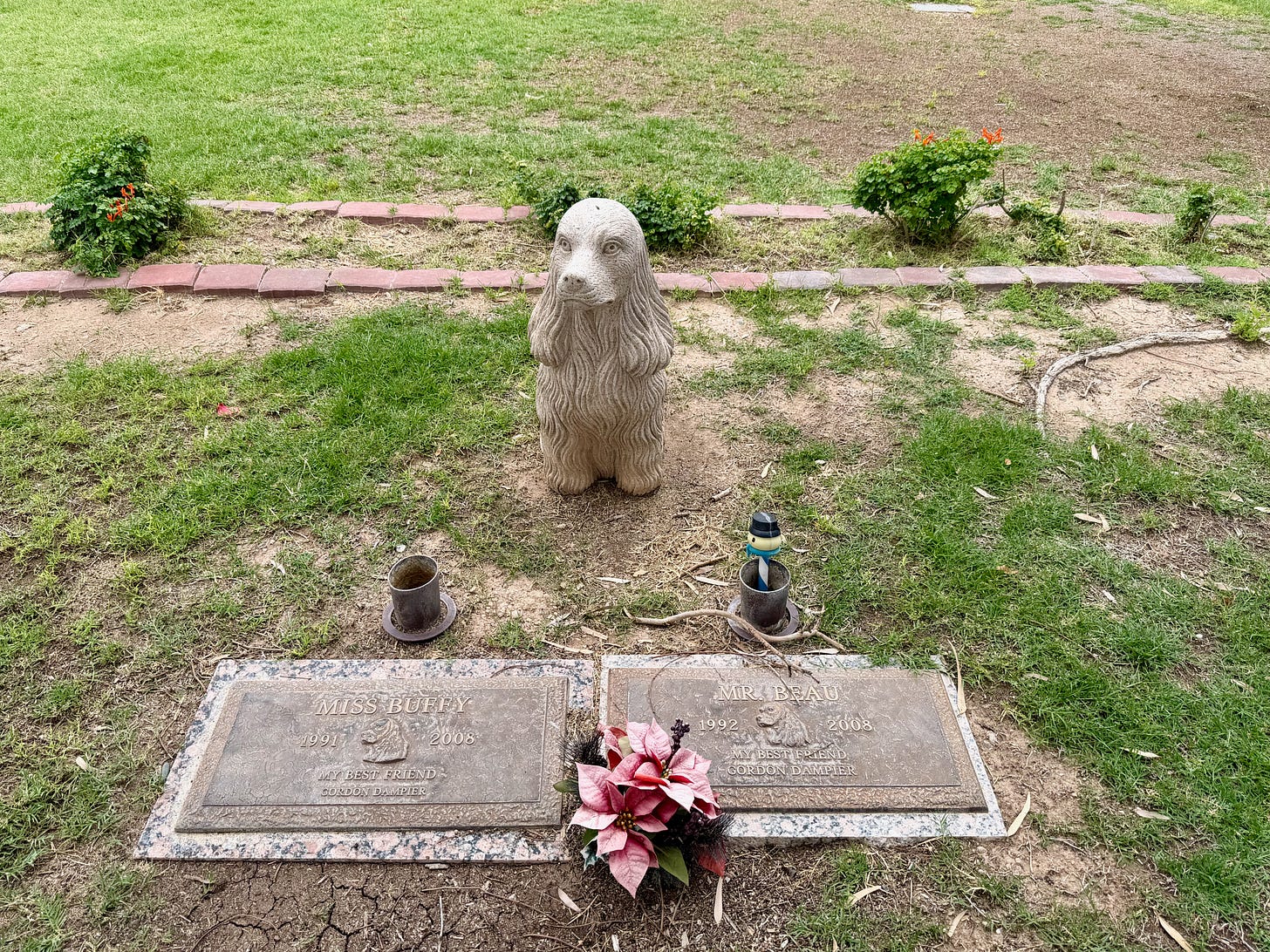 A stone dog statue stands watch over two bronze pet grave markers at Sunland Memorial Park: Miss Buffy (1991–2008) and Mr. Beau (1992–2008), both inscribed 'My Best Friend, Gordon Dampier,' with a pink poinsettia flower arrangement between them A stone dog statue stands watch over two bronze pet grave markers at Sunland Memorial Park: Miss Buffy (1991–2008) and Mr. Beau (1992–2008), both inscribed 'My Best Friend, Gordon Dampier,' with a pink poinsettia flower arrangement between them