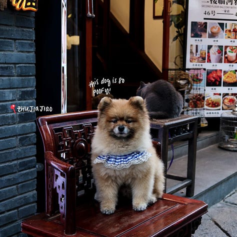 Zhujiajiao scenes pt. 2