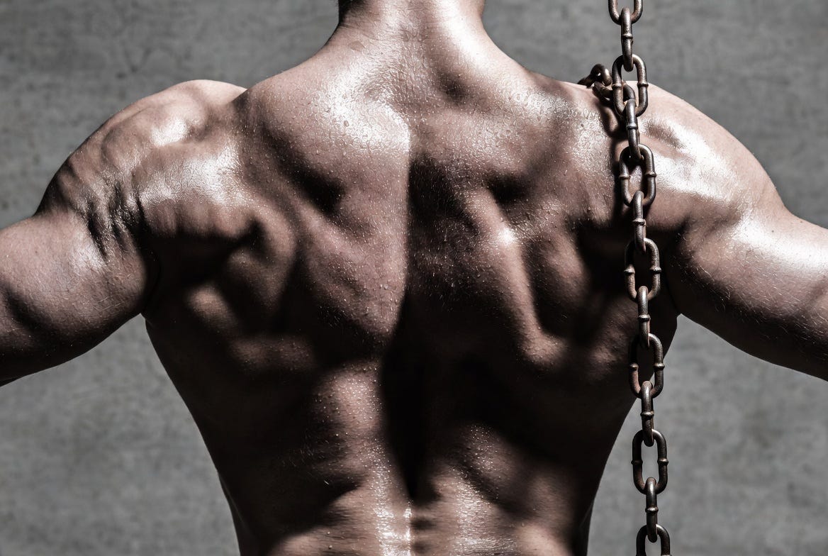 The Science of Hypertrophy Explained Simply