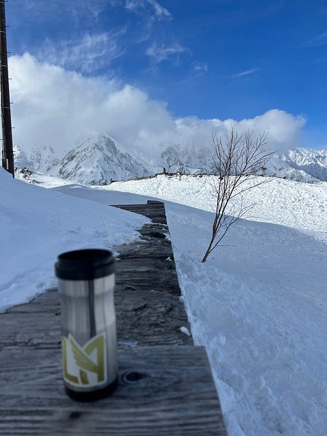 Tea, Pu'erh, Ski, Ski Tea, 1998 Olympics, Nagano, Hakuba, Japan