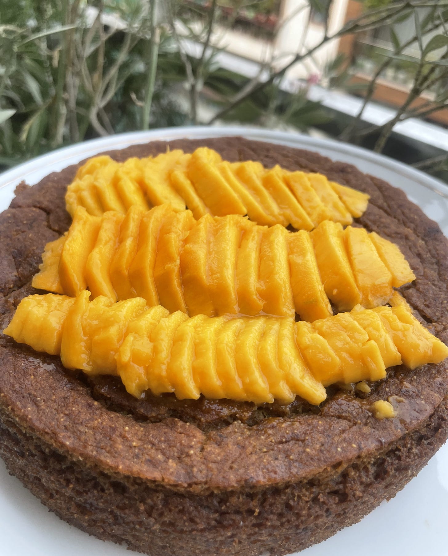 A brown round cake with mango slices, sits on a white base.