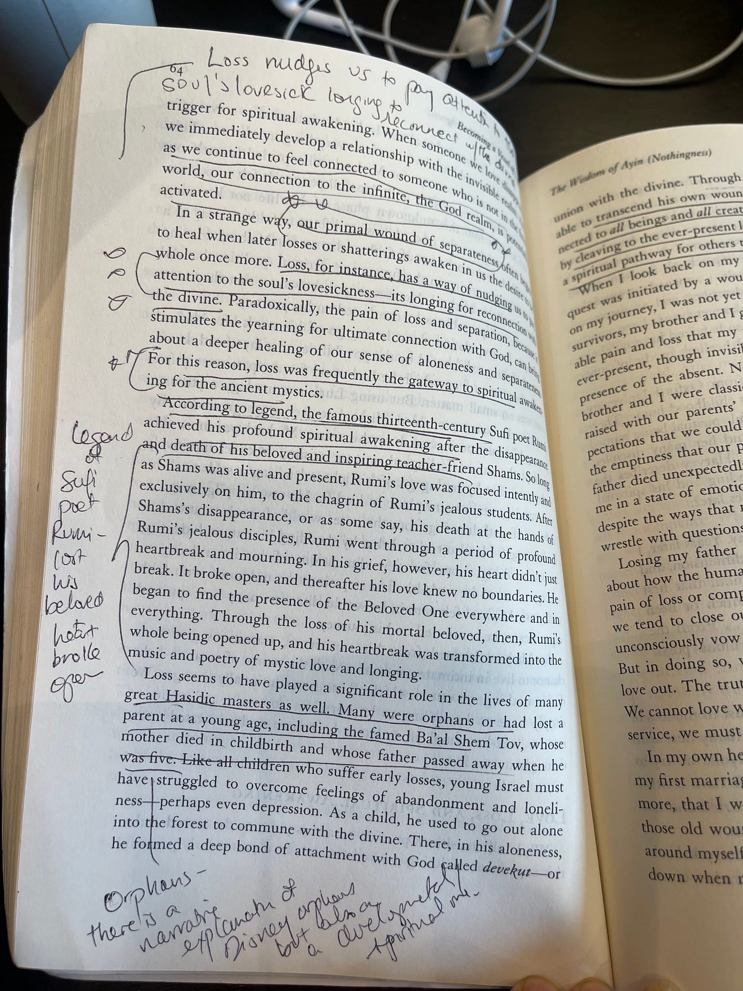 IMG_4186.jpeg IMG_4186.jpeg