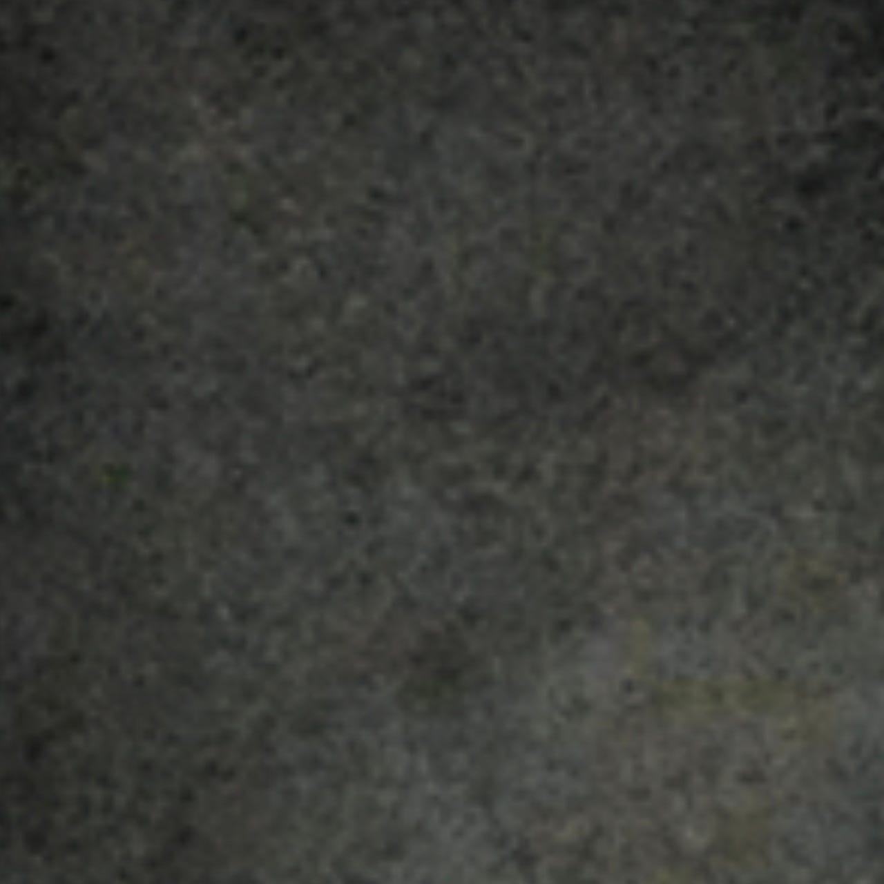 charli's substack logo