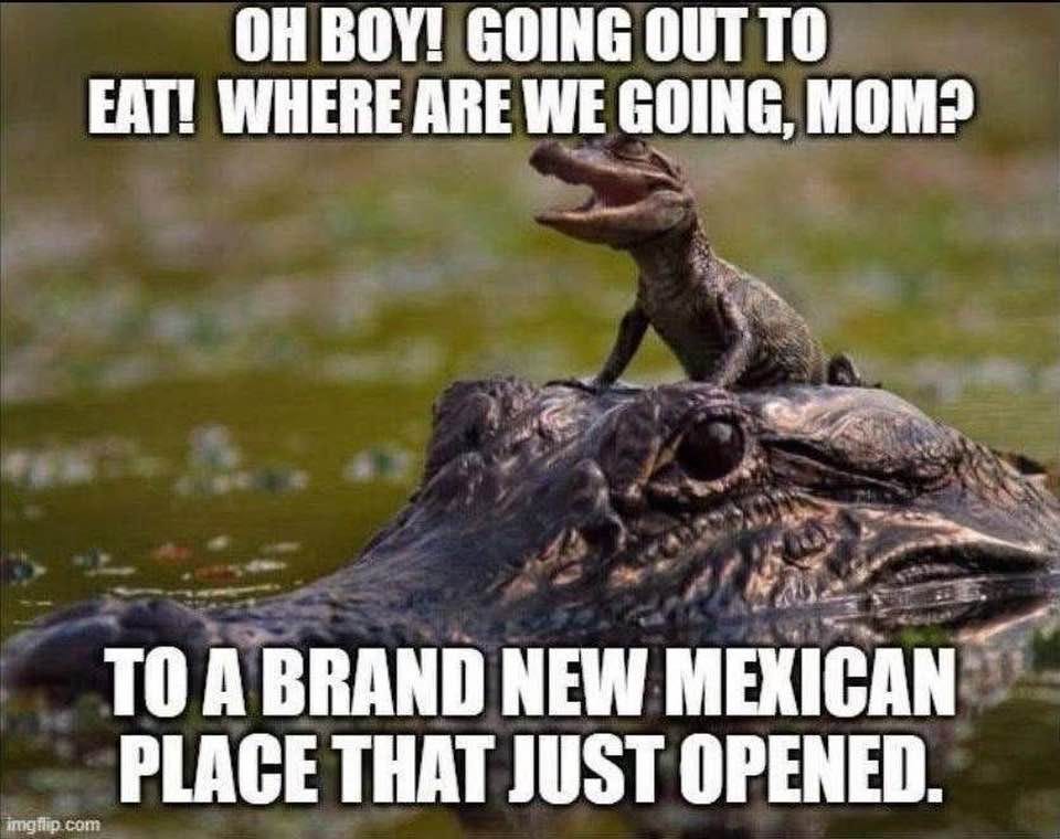May be an image of crocodile and text that says 'OH BOY! GOING OUT TO EAT! WHERE ARE WE GOING, MOM? TO A BRAND NEW MEXICAN PLACE A JUST OPENED. imgflip. imgflip.com com'
