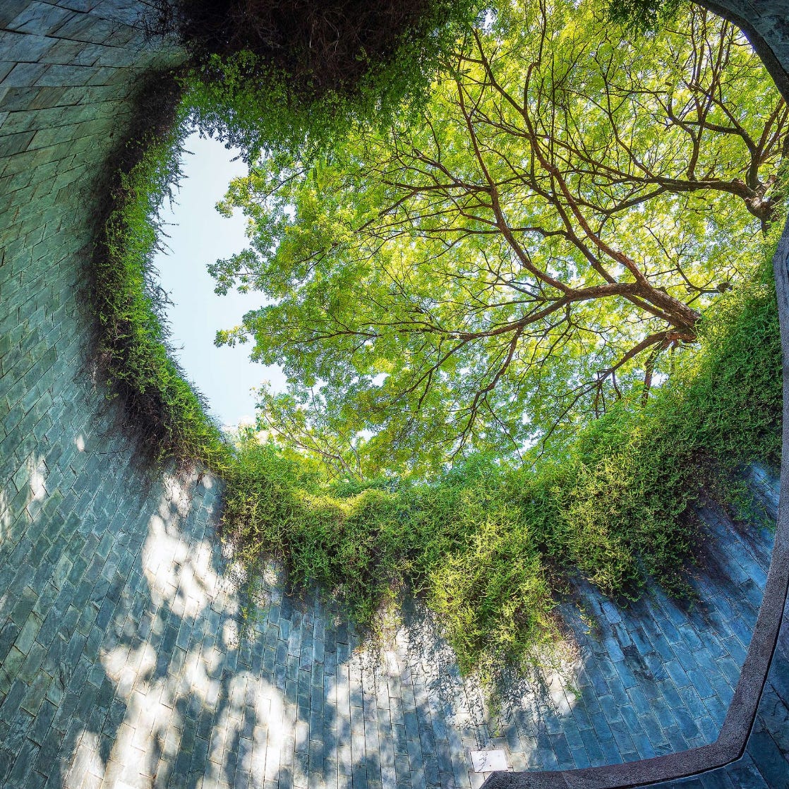 Dr. Ginny Substacking