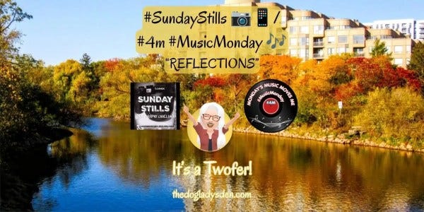 SUNDAY STILLS AND MUSIC MONDAY, REFLECTIONS