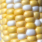 Last call for corn